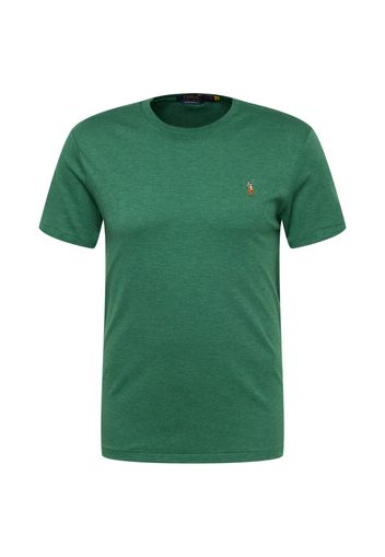 Polo Ralph Lauren Maglietta  blu / marrone / verde sfumato / bianco