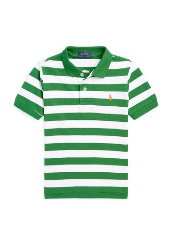 Polo Ralph Lauren Maglietta  verde erba / mandarino / bianco