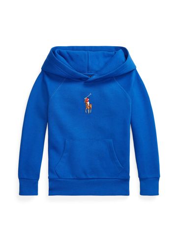 Polo Ralph Lauren Felpa  blu / marrone / rosso / bianco