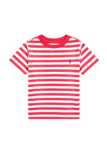 Polo Ralph Lauren Maglietta  navy / granatina / bianco