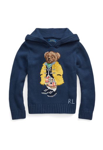 Polo Ralph Lauren Pullover  blu scuro / marrone / giallo / colori misti