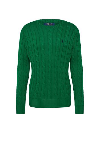 Polo Ralph Lauren Pullover 'DRIVER'  navy / verde erba