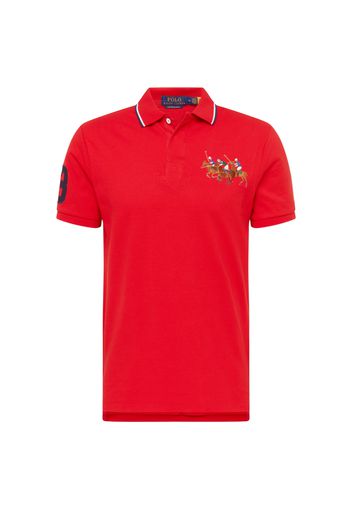 Polo Ralph Lauren Maglietta  navy / marrone chiaro / rosso fuoco / bianco