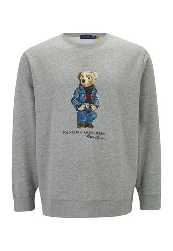 Polo Ralph Lauren Felpa  grigio sfumato / colori misti