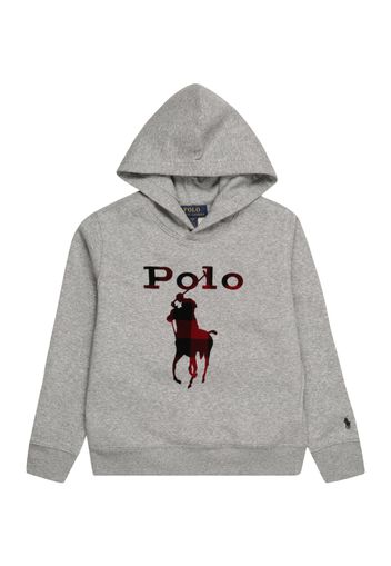 Polo Ralph Lauren Felpa  grigio / rosso / nero