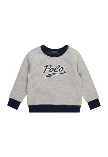 Polo Ralph Lauren Felpa  blu notte / grigio sfumato / bianco