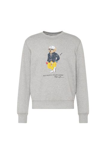 Polo Ralph Lauren Felpa  grigio / colori misti