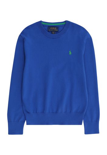 Polo Ralph Lauren Pullover  blu / verde