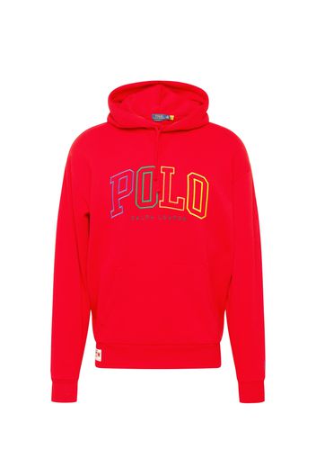 Polo Ralph Lauren Felpa  blu / giallo / verde / rosso