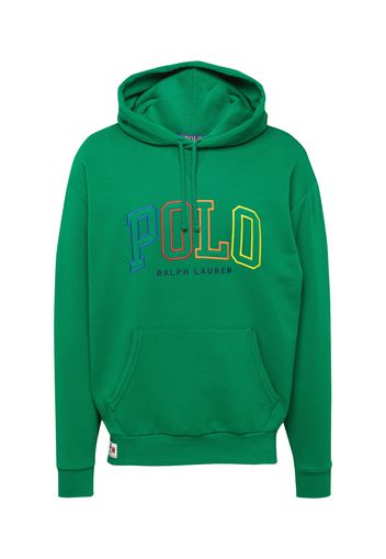 Polo Ralph Lauren Felpa  verde / colori misti