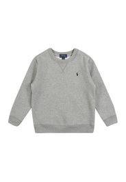 Polo Ralph Lauren Felpa  grigio scuro