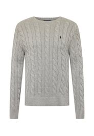 Polo Ralph Lauren Pullover 'Driver'  grigio sfumato / blu cielo