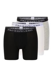 Polo Ralph Lauren Boxer  grigio sfumato / nero / bianco