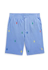 Polo Ralph Lauren Pantaloni  blu chiaro / blu scuro / giallo / verde