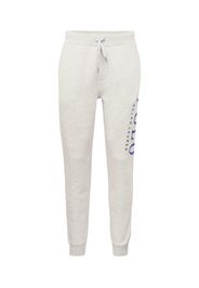 Polo Ralph Lauren Pantaloni  marino / grigio sfumato