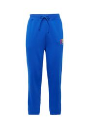 Polo Ralph Lauren Pantaloni  blu scuro / colori misti