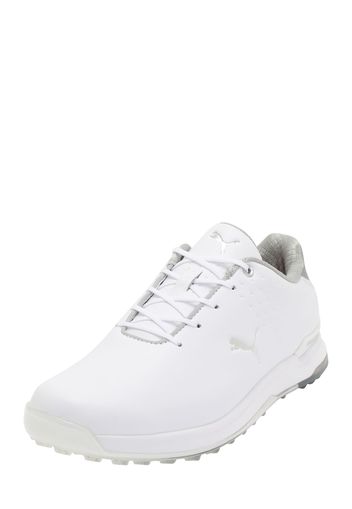 PUMA Scarpa sportiva 'ALPHACAT'  bianco / grigio