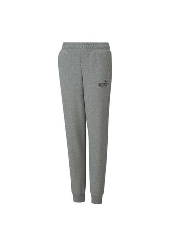 PUMA Pantaloni sportivi  grigio / nero