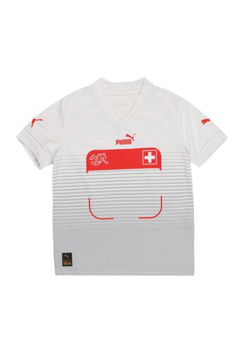 PUMA Maglia funzionale  grigio / grigio chiaro / rosso