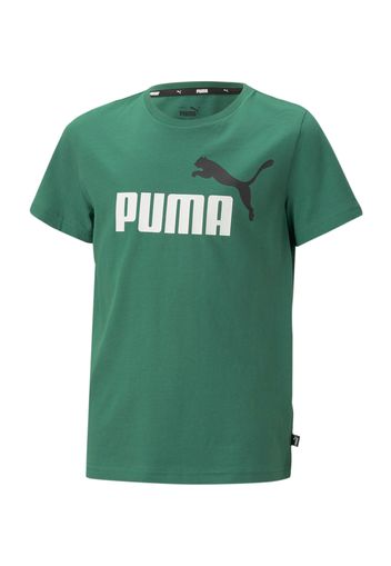 PUMA Maglietta  verde / nero / bianco