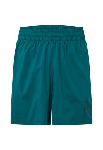 PUMA Pantaloni sportivi  verde / nero