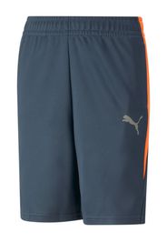 PUMA Pantaloni sportivi  blu fumo / grigio / arancione