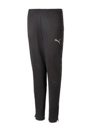 PUMA Pantaloni sportivi 'ACTIVE SPORTS'  grigio / nero