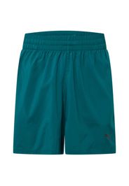 PUMA Pantaloni sportivi  verde / nero