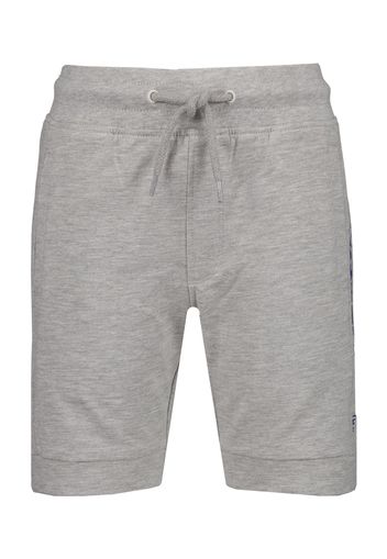 Raizzed Pantaloni 'REIMS'  grigio sfumato / navy