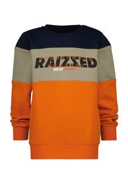 Raizzed Felpa 'NOTHAM'  colori misti / arancione