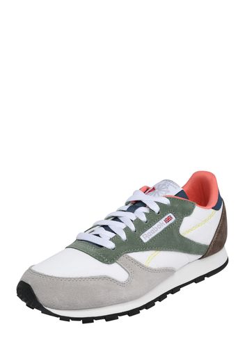 Reebok Classics Sneaker  bianco / verde / grigio / marrone scuro / blu