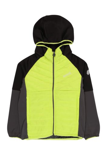 REGATTA Giacca per outdoor 'Kielder Hybrid VI'  grigio scuro / lime / nero