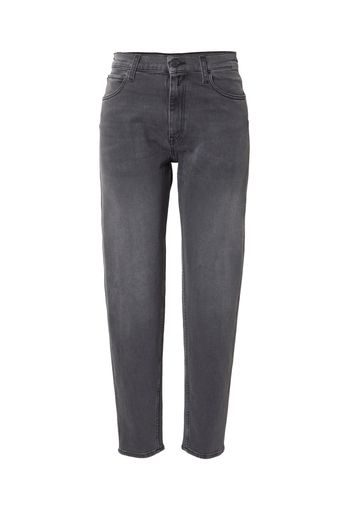 REPLAY Jeans 'KEIDA'  grigio denim