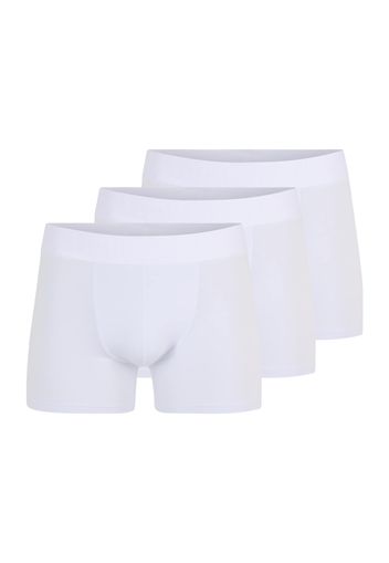 Resteröds Boxer  bianco