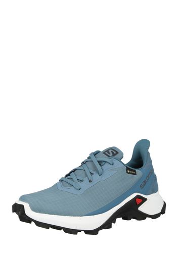 SALOMON Scarpa bassa 'ALPHACROSS 3'  blu fumo / grigio scuro