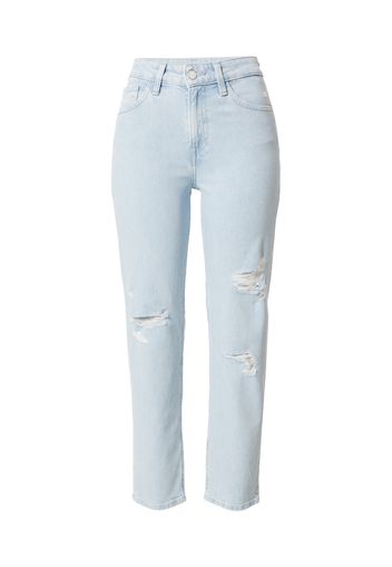 Salsa Jeans Jeans  blu denim