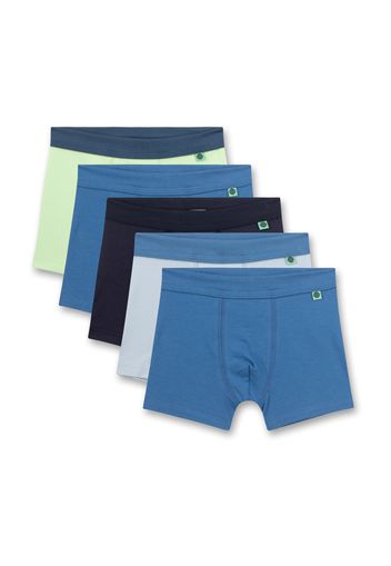 SANETTA Pantaloncini intimi  blu / blu scuro / grigio / menta