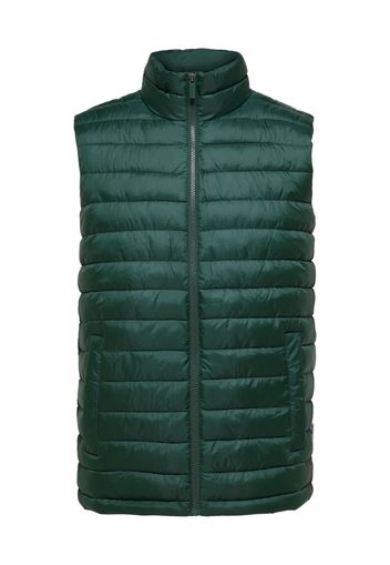 SELECTED HOMME Gilet 'TANG'  verde scuro