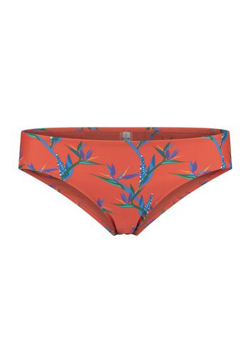 Shiwi Pantaloncini per bikini  blu chiaro / verde / lilla chiaro / rosso arancione