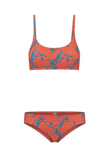 Shiwi Bikini  rosso arancione / lilla chiaro / turchese / arancione