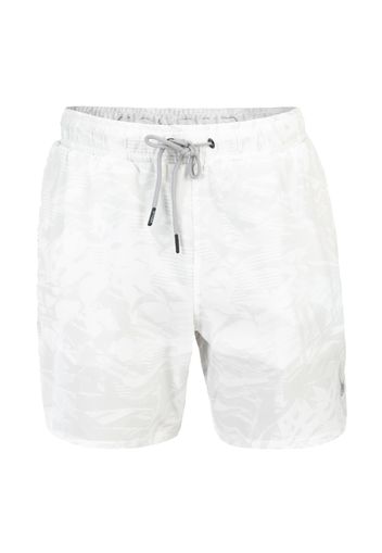 Spyder Pantaloncini sportivi da bagno  grigio / bianco