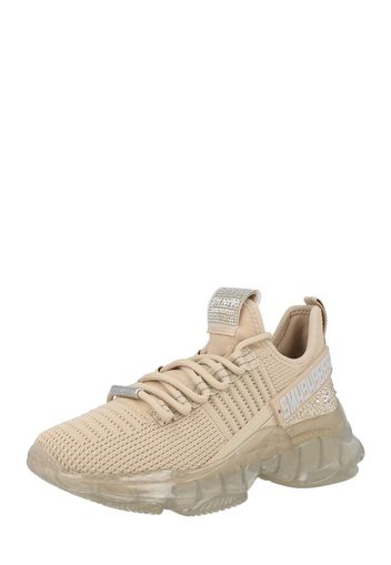 STEVE MADDEN Sneaker bassa  beige