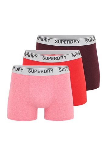 Superdry Boxer  borgogna / rosso / rosa