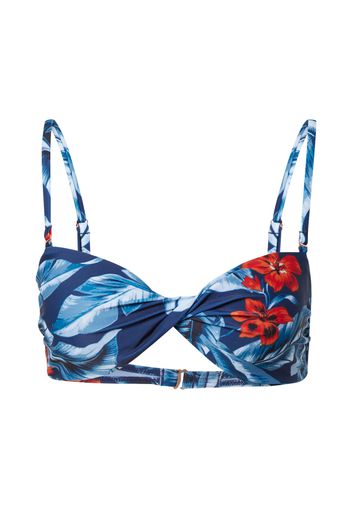 Superdry Top per bikini  blu / rosso / blu chiaro