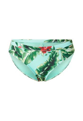 Superdry Pantaloncini per bikini  menta / kiwi / abete / rosso / bianco