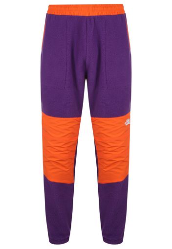 THE NORTH FACE Pantaloni sportivi 'Denali'  arancione / lilla scuro