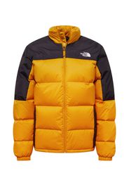 THE NORTH FACE Giacca per outdoor 'DIABLO'  giallo / nero / bianco