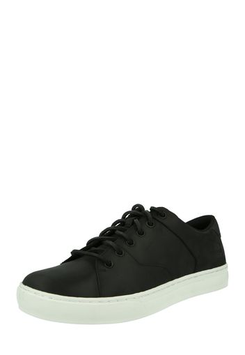 TIMBERLAND Sneaker bassa  nero