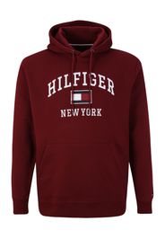 Tommy Hilfiger Big & Tall Felpa  navy / merlot / porpora / bianco