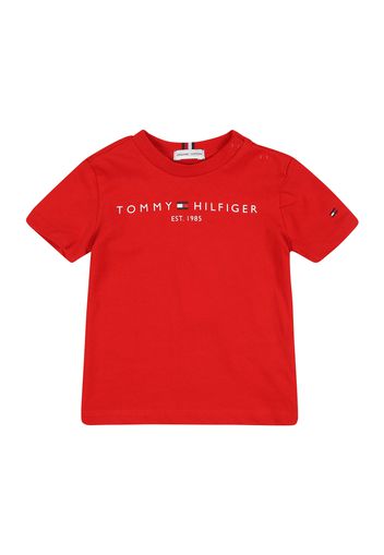 TOMMY HILFIGER Maglietta  rosso / bianco / navy